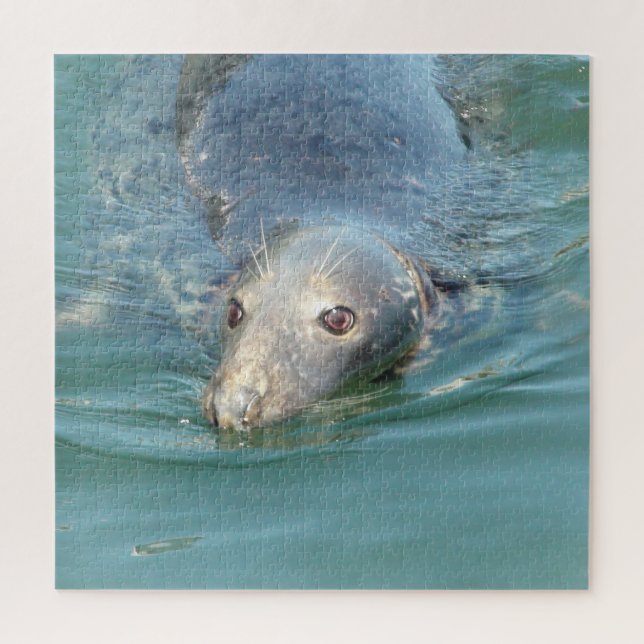 Puzzle Cape Cod Seal au quai (Vertical)