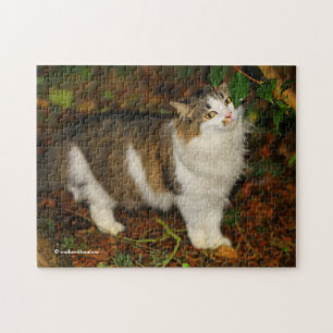 Puzzle Capricieuse Le Chat et la Camélia