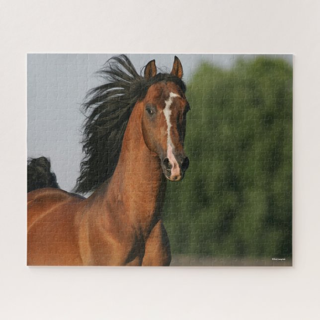 Puzzle Capsule de la baie Morgan Horse Flower Mane (Horizontal)
