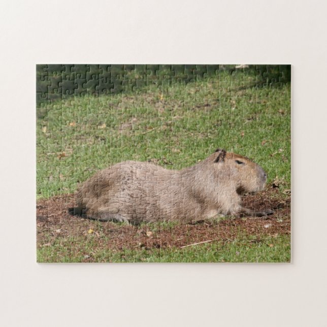 Puzzle Capybara bronzer (Horizontal)