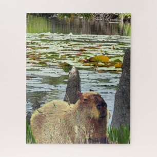Puzzle Capybara - Pneumatophores - Faune