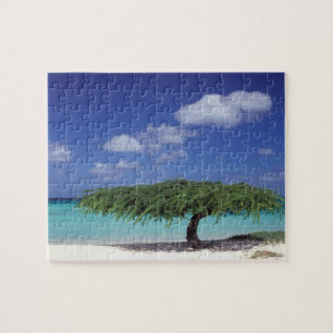 Puzzle Caraïbes, Aruba. Plage Eagle