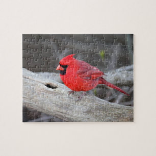 Puzzle Cardinal à Woods