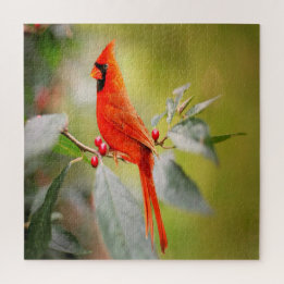 Puzzle Cardinal Bright