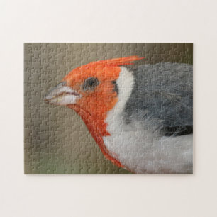 Puzzle Cardinal crêté rouge