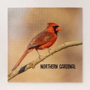 Puzzle Cardinal du Nord