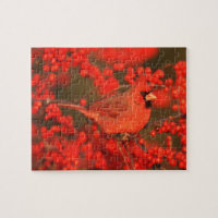 Cardinal rouge du Nord mâle, IL