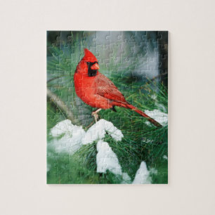 Puzzle Cardinal rouge mâle sur un arbre, IL