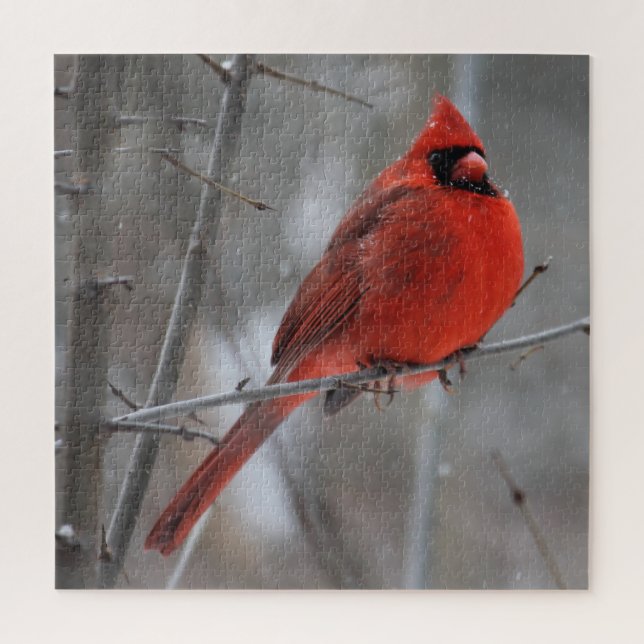 Puzzle Cardinal roux brillant en neige hivernale (Vertical)