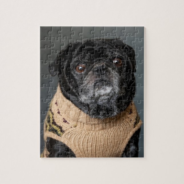 Puzzle Carlin noir adorable dans un pull (Vertical)