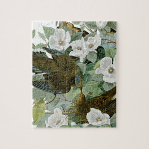 Puzzle Carolina Pigeon Audubon Morning Dove