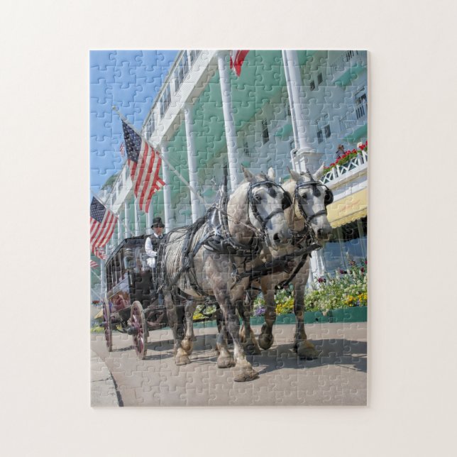 Puzzle Carriage à cheval de l'île Mackinac-11x14-252 pc (Vertical)