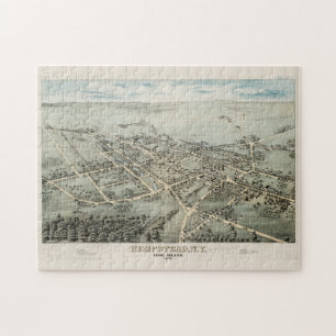 Puzzle Carte picturale Vintage de Hempstead NY (1876)