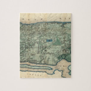 Puzzle Carte sanitaire et topographique de la ville de Ne