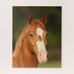 Puzzle Casque de châtaigne Oldenburg Cross Welsh