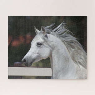 Puzzle Casque de Stallion arabe gris Mane Flower