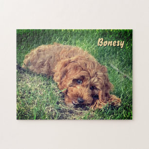Puzzle Casse-tête 11x14 de Goldendoodle mignon