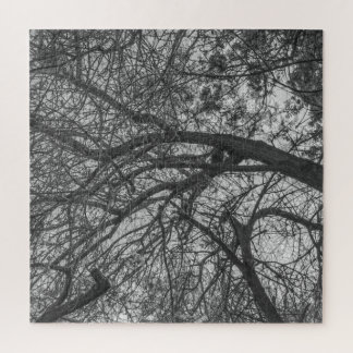 Puzzle Casse-tête Chaos Naturel