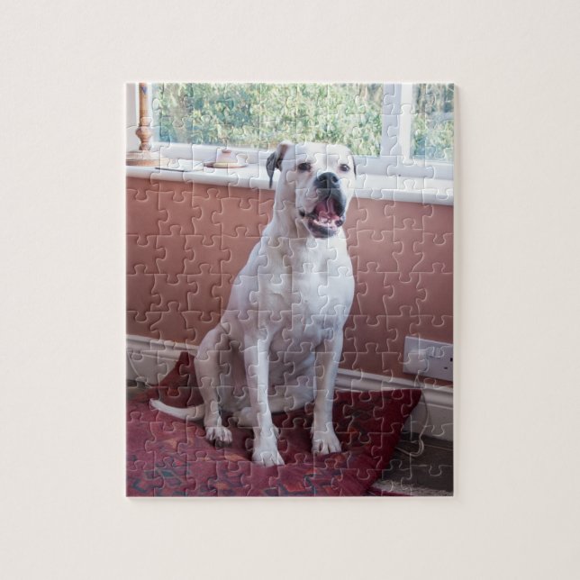Puzzle Casse-tête : Chien blanc de boxeur (Vertical)