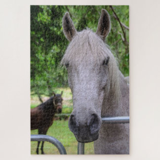Puzzle Casse-tête de cheval