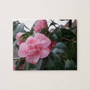 Puzzle Casse-tête de fleurs roses