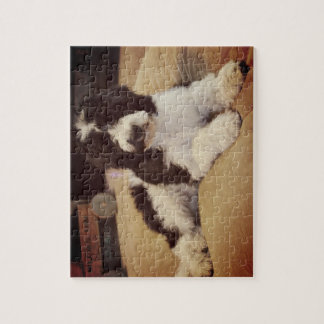 Puzzle Casse-tête de Goldendoodle