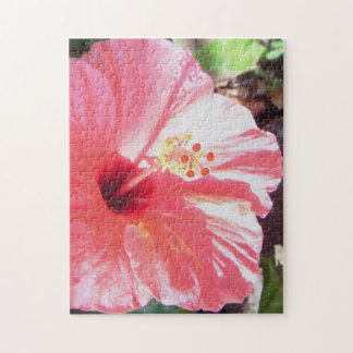 Puzzle Casse-tête de *Hibiscus*
