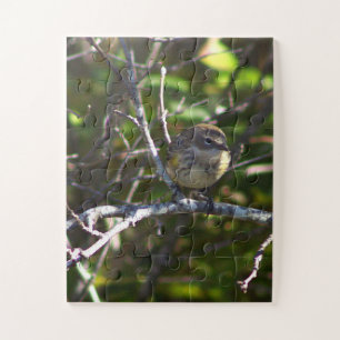 Puzzle Casse-tête de photo d'oiseau Paruline 