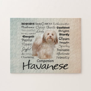 Puzzle Casse-tête de traits de Havanese
