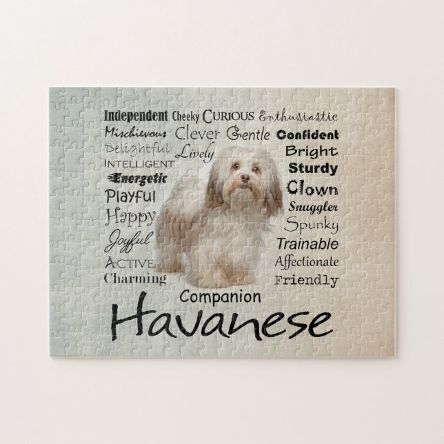 Puzzle Casse-tête de traits de Havanese (Horizontal)