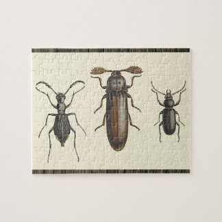 Puzzle Casse-tête de trois insectes côte à côte