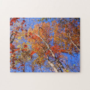 Puzzle Casse-tête des feuilles d'automne du parc national