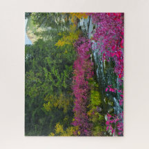 Casse-tête du ruisseau fleuri