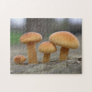 Puzzle Casse-tête Macro Champignons Minuscules