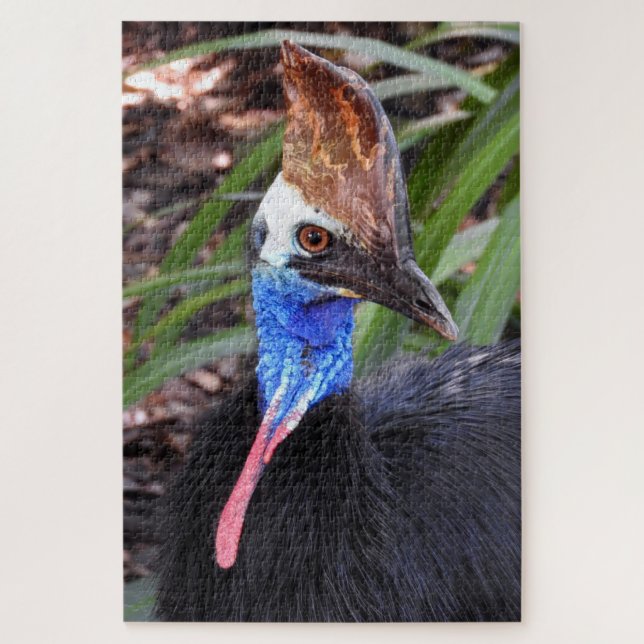Puzzle Cassowary du Sud (Vertical)