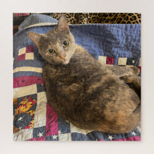 Puzzle Cat