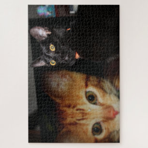 Puzzle Cat