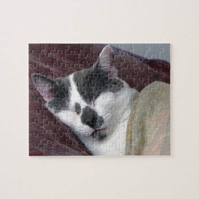Puzzle Cat Napping (Horizontal)