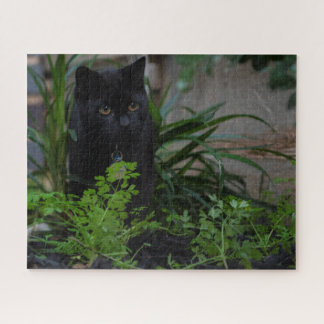 Puzzle Cat noir caché aux Plantes, 520 pièces
