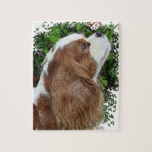 Puzzle Cavalier King Charles Spaniel