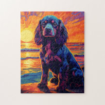 Cavalier King Charles Spaniel Coucher de soleil /