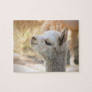 Puzzle Celeste d'alpaga