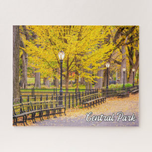 Puzzle Central Park, Manhattan, New York, USA