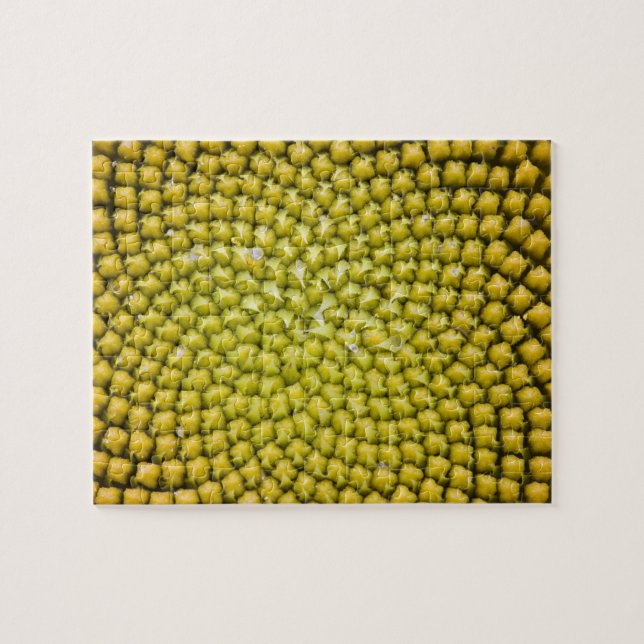 Puzzle Centre du tournesol géant (Helianthus annuus) (Horizontal)