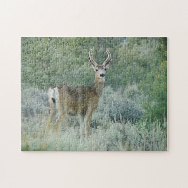 Puzzle Cerf (Horizontal)