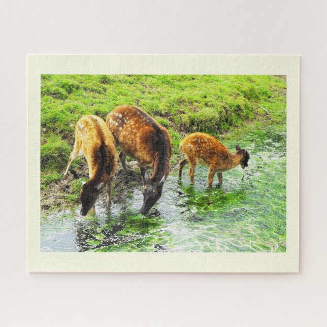 Puzzle Cerf (Horizontal)