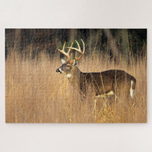 Puzzle Cerf à queue blanche Smoky Mountains Tennessee