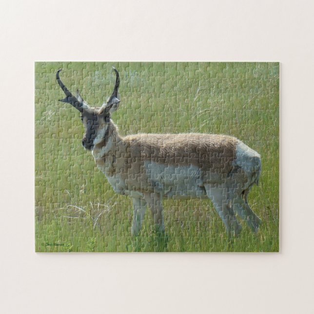 Puzzle Cerf antilope A36 (Horizontal)