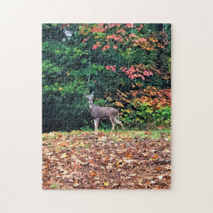 Puzzle Cerf dans la forêt, Oregon