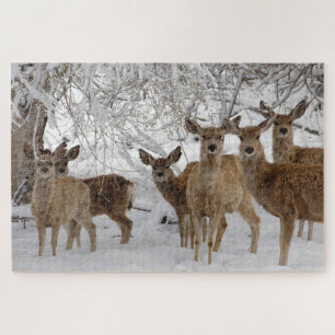 Puzzle Cerf Mule Wyoming